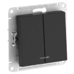 Выключатель 2-клавишный Systeme Electric, с подсветкой, карбон